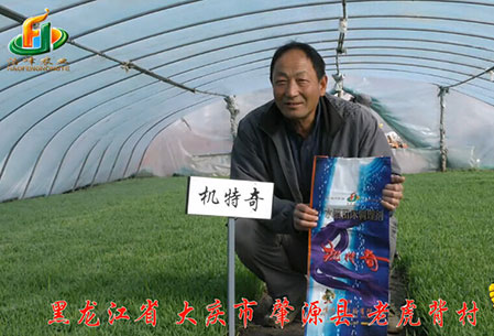 大(da)慶(qing)-肇源縣-用戶(hu)迴訪視頻