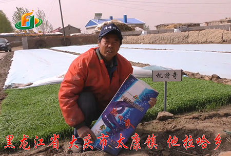 大慶-太康鎮-用(yong)戶迴訪(fang)視頻