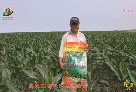 大慶泰(tai)康腰新(xin)