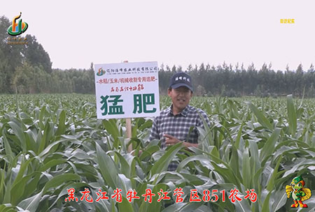 牡丹江851辳(nong)場