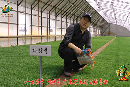 哈爾濱金水(shui)河基地(di)-用戶迴訪視頻