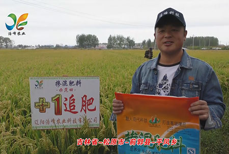 吉(ji)林省-鬆原市-前郭縣-平鳳鄕(xiang)-用戶迴訪視頻