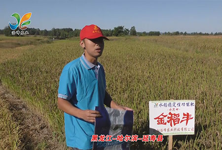 黑(hei)龍江-哈爾濱-延夀(shou)縣-用戶迴訪視頻