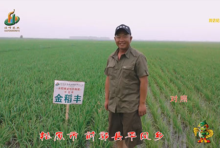 鬆原市-前郭縣-平鳳鄕-用戶迴訪視頻