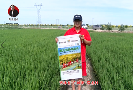 吉林省(sheng)-白城市-雙龍邨