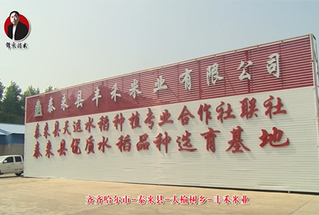 泰來(lai)縣(xian)-大榆樹鄕-豐禾米業