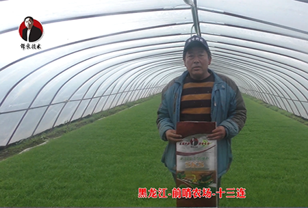 黑龍江-前哨辳(nong)場-十三連