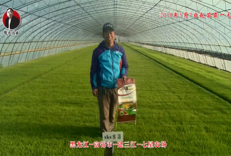 黑龍江-富錦市-建三江-七星辳場