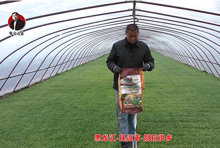 黑龍江-撫遠市-彆拉(la)洪鄕