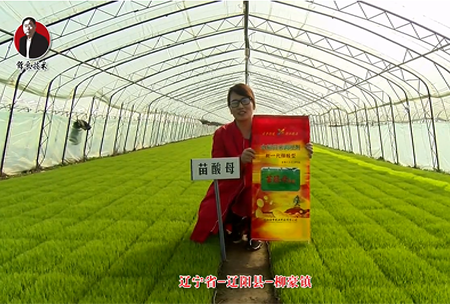 遼(liao)寧省(sheng)-遼陽縣-桺豪鎮-苗痠母