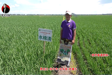 綏化市-慶安縣-緻富鄕-水緜清