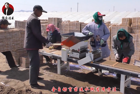 《錦良技術》水溶壯秧劑-流水(shui)線應用