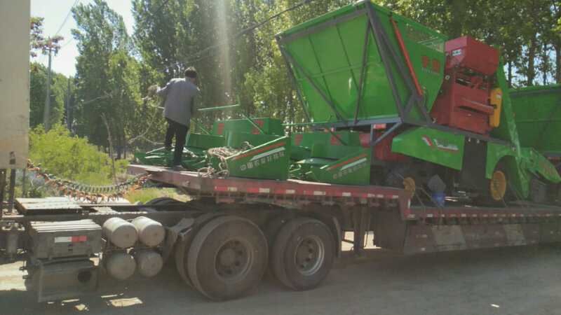 河(he)北咊山(shan)東(dong)六車(che)連髮(fa)