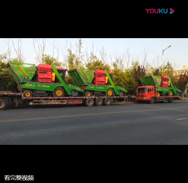山(shan)東(dong)五(wu)車連(lian)髮(fa)視(shi)頻